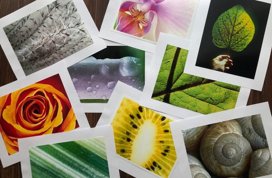 Konkurs fotograficzny: „Detal w naturze”