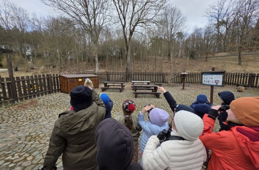 Wycieczka do Łysego Młyna